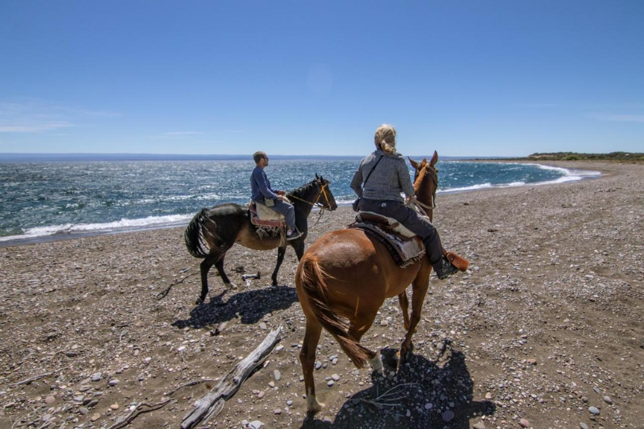 Estancia La Serena Perito Moreno Eksteriør bilde